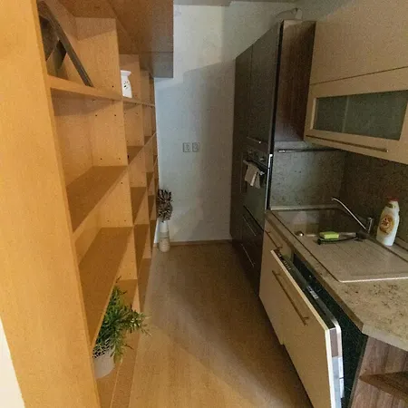 Labska 21 Ve Spindlerove Mlyne Lejlighed *